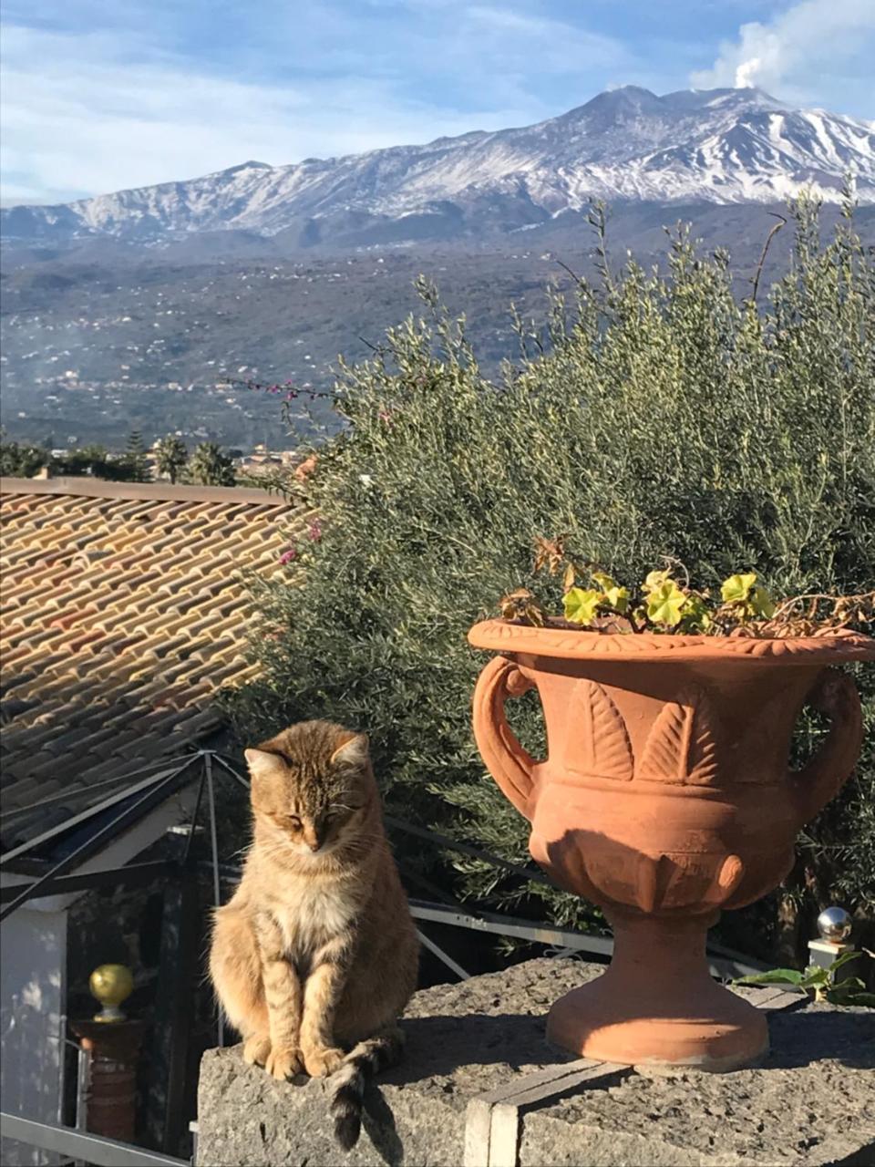 Borgo San Biagio Villa กาบาตาเบียโน ภายนอก รูปภาพ